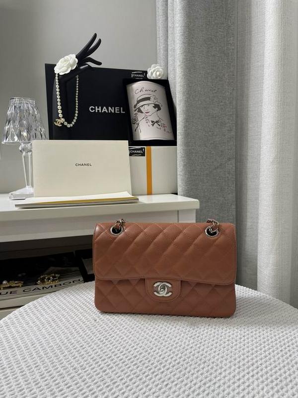 Chanel Handbags 181